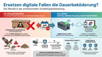 Ersetzen digitale Fallen die Dauerbeköderung mit Rattengift? | Experta Schädlingsbekämpfung