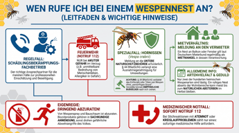 Wen rufe ich bei einem Wespennest an? | Experta Schädlingsbekämpfung GmbH