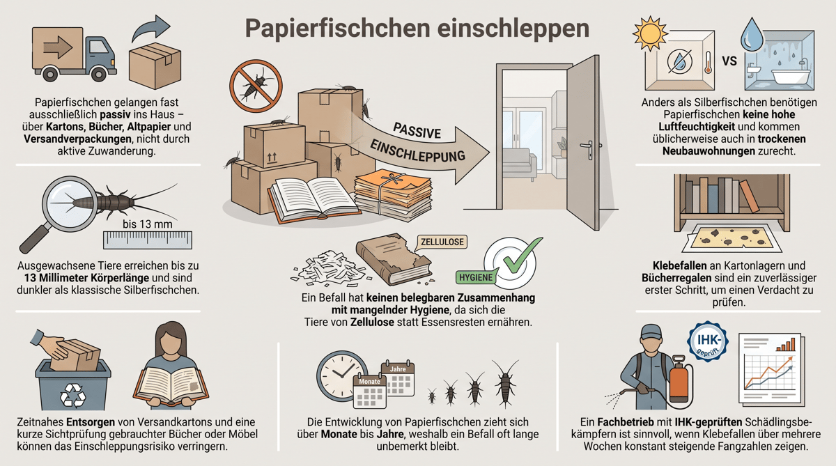 Papierfischchen einschleppen