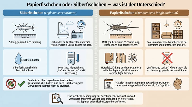 Unterschied zwischen Papierfischchen und Silberfischchen