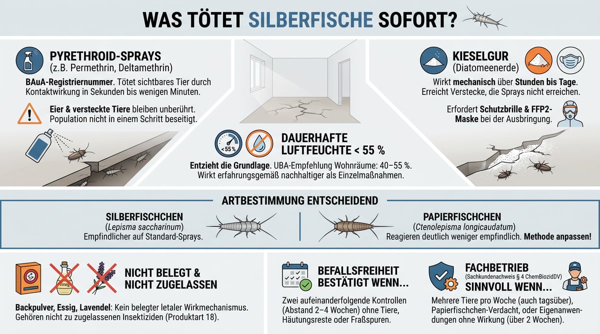 Was t&ouml;tet Silberfische sofort