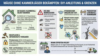 Kann ich Mäuse ohne Kammerjäger loswerden? | Experta Schädlingsbekämpfung GmbH