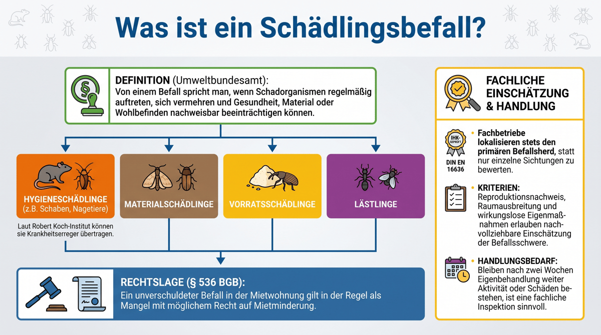 Was ist Sch&auml;dlingsbefall