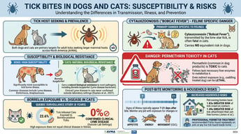Do Ticks Bite Dogs and Cats?