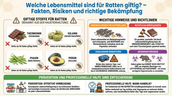 Welche Lebensmittel sind für Ratten giftig? | Experta Schädlingsbekämpfung GmbH