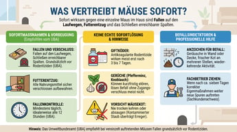Was vertreibt Mäuse sofort? | Experta Schädlingsbekämpfung