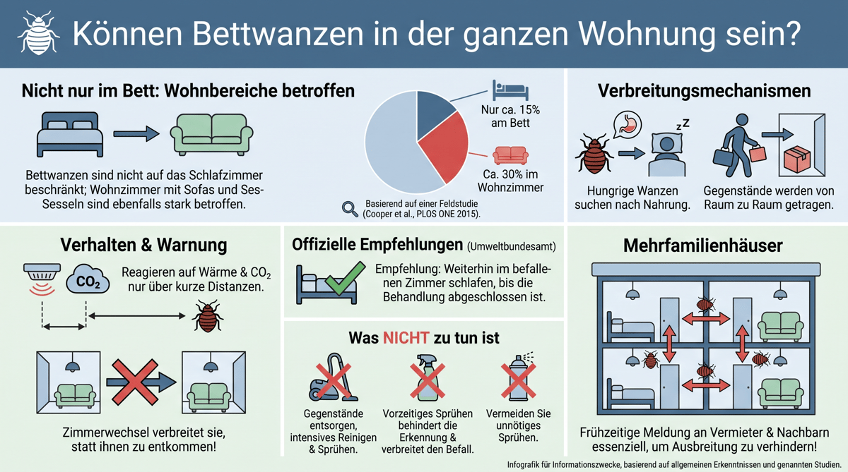 K&ouml;nnen Bettwanzen in der ganzen Wohnung sein?