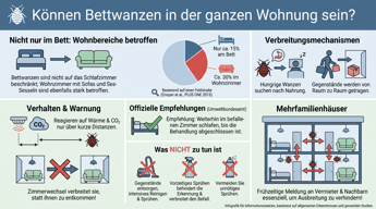 Können Bettwanzen in der ganzen Wohnung sein? | Experta Schädlingsbekämpfung GmbH
