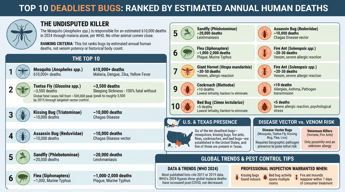 What Are the Top 10 Deadliest Bugs?