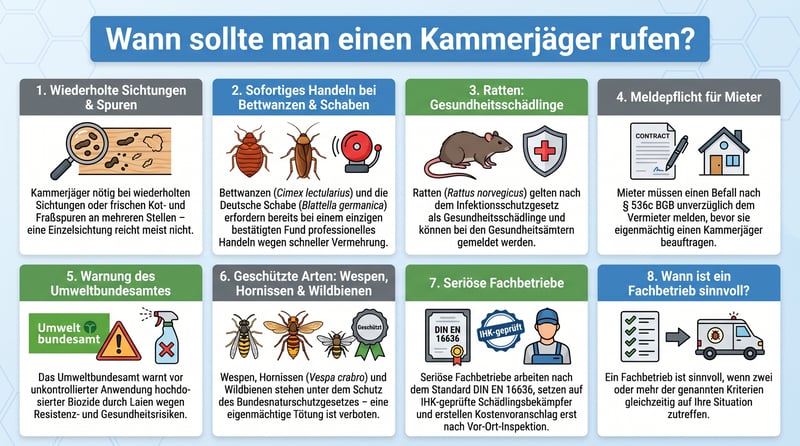 Wann sollte man einen Kammerj&auml;ger rufen