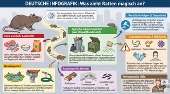 Was zieht Ratten magisch an? | Experta Schädlingsbekämpfung GmbH