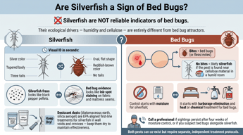 Are Silverfish a Sign of Bed Bugs?