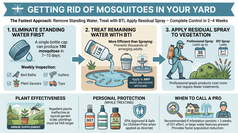 Getting Rid of Mosquitoes in Your Yard