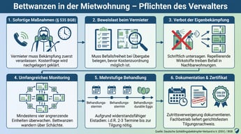 Was tun bei Bettwanzen in einer Mietwohnung? Der Leitfaden für Verwalter | Experta Schädlingsbekämpfung