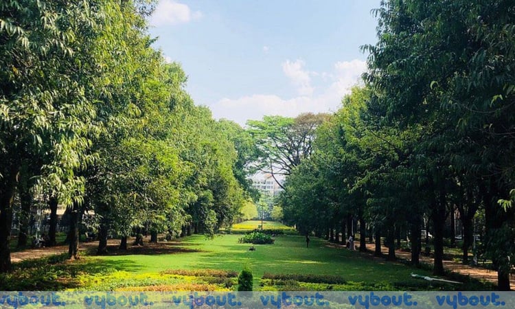 Break with Nature 