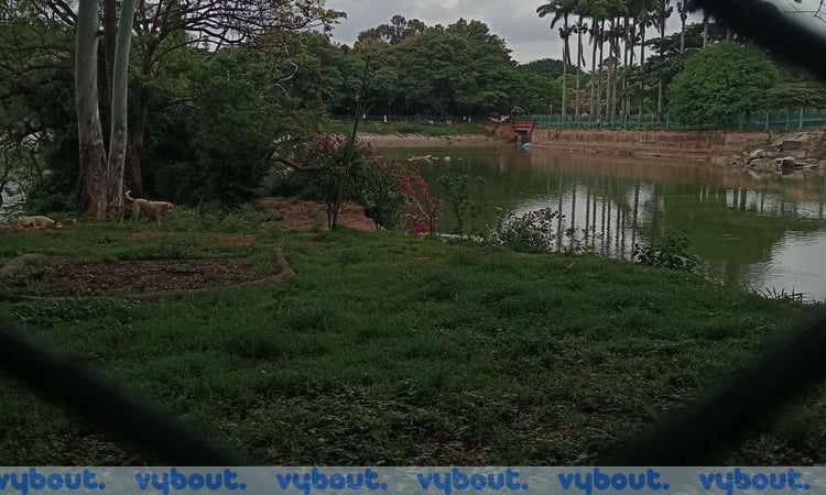 Tour of Lalbagh Botanical Garden