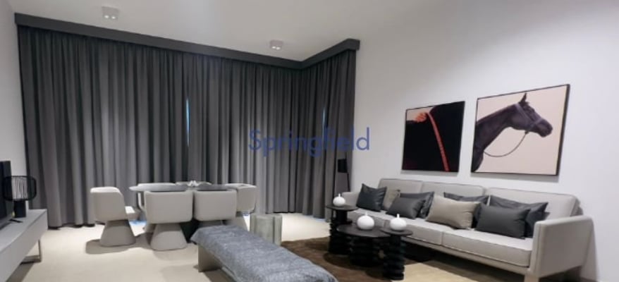 ready-to-move-fully-furnished-brand-new-springfield-real-estate-sp-r-1049