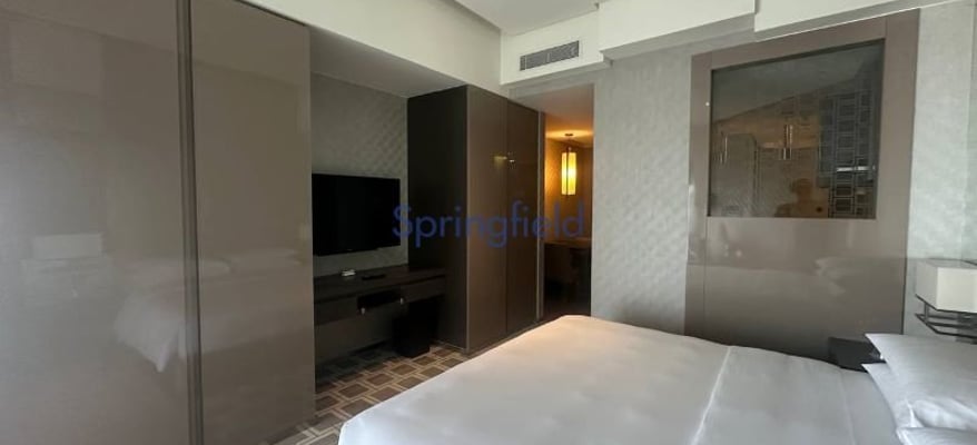 luxury-studio-fully-furnished-hotel-living-springfield-real-estate-sp-r-1037