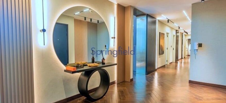 designer-furnishing-customized-ready-unit-springfield-real-estate-sp-s-3381