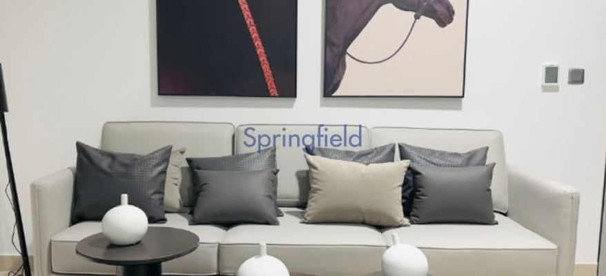 ready-to-move-fully-furnished-brand-new-springfield-real-estate-sp-r-1049