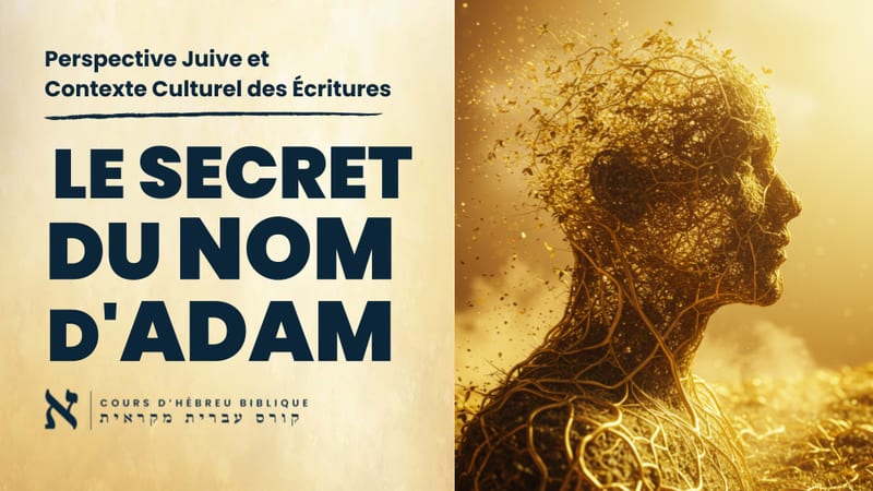 Adam & la Terre : L'INCROYABLE Connexion de la Genèse !