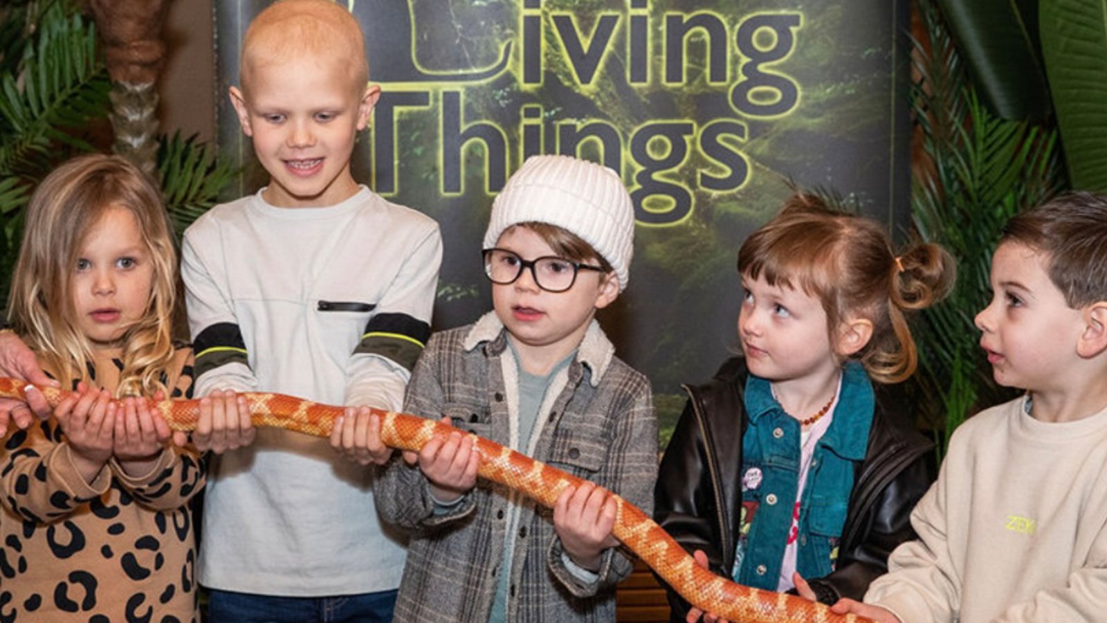 Living Things Wildlife Show