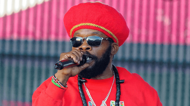 Bushman