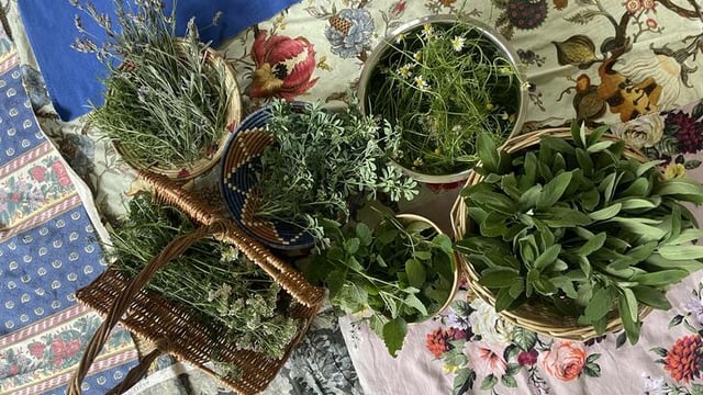 Grow With Me: Family-Friendly Workshop