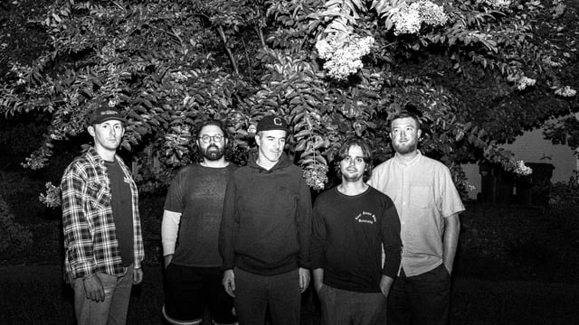 Fiddlehead