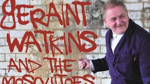 Geraint Watkins & The Mosquitoes