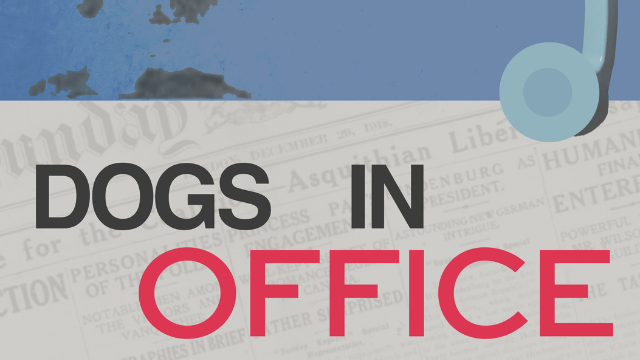 Dogs in Office