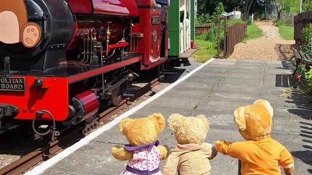 'Bears Have Fun' Teddy Bears Picnic 22/23 August