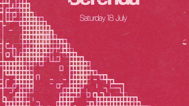 Phonox: Soichi Terada (Live)
