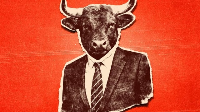 Bull
