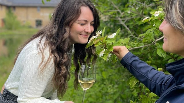 Wine & Walk: An Exclusive Evening of Wine and Wetlands