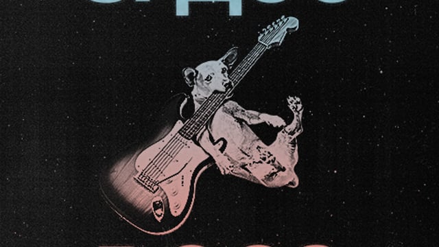 SPACE DOGS