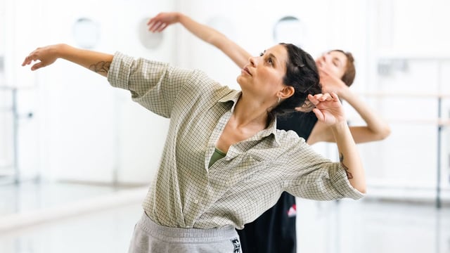 Summer Intensives for Adults: Contemporary Improvers with Jenny Hayes