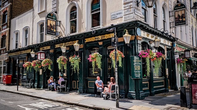 The Plough