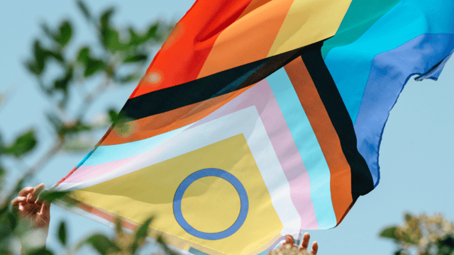 Pride-A Creative Celebration