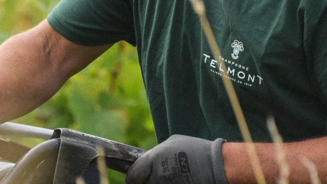 Sip & Shop with Champagne Telmont at The Whisky Exchange Great Portland Street