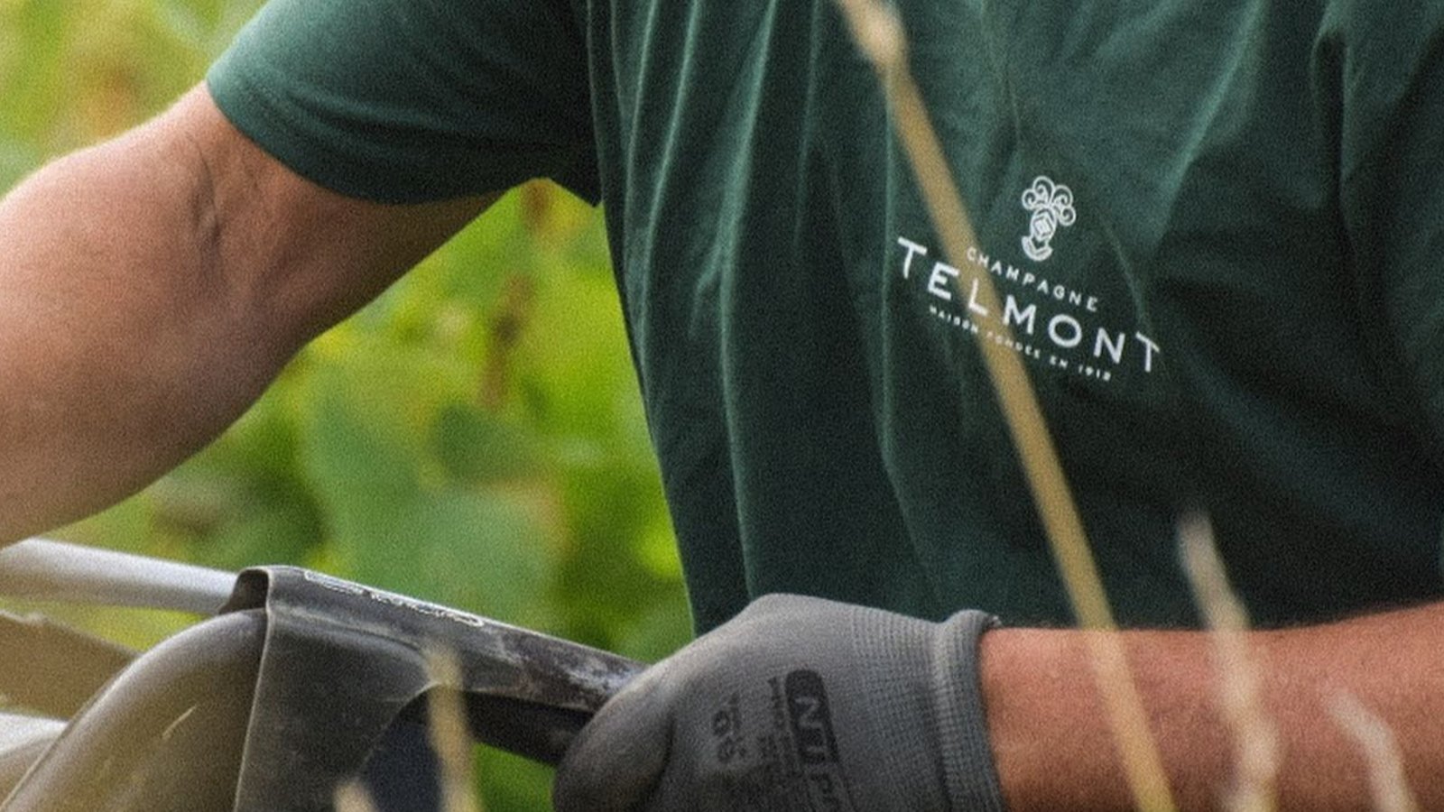 Sip & Shop with Champagne Telmont at The Whisky Exchange Great Portland Street