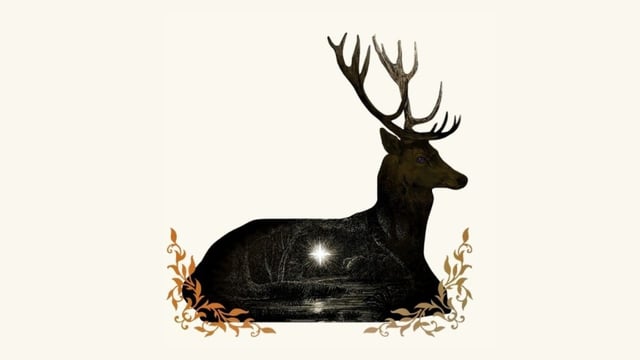 Liturgies of the Wild