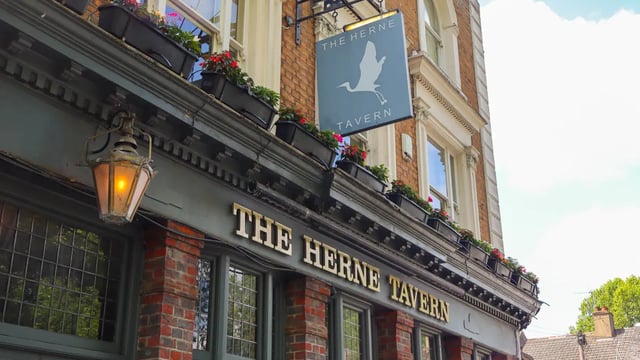 Thursday Live Music