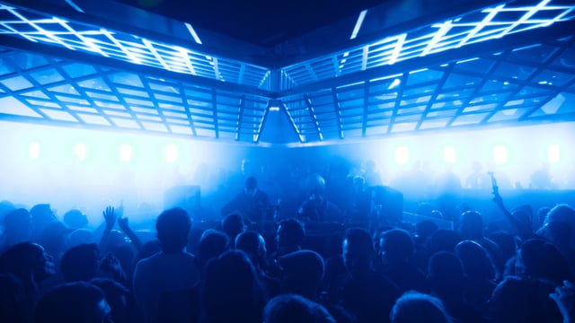 Reinier Zonneveld & MORE