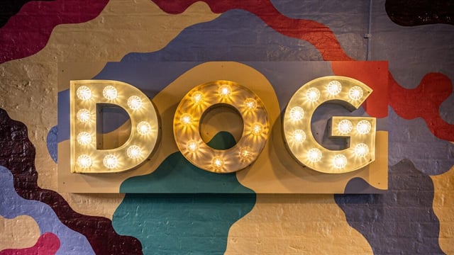 The Dog