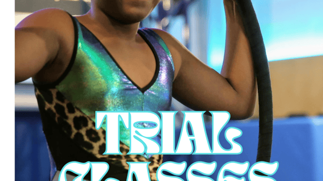 Young Flyers Aerial Classes