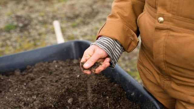 The Secret World Beneath Our Feet