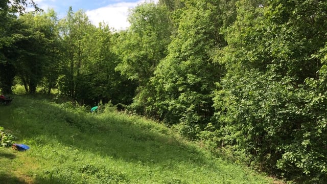 Garthorne Road nature reserve open days