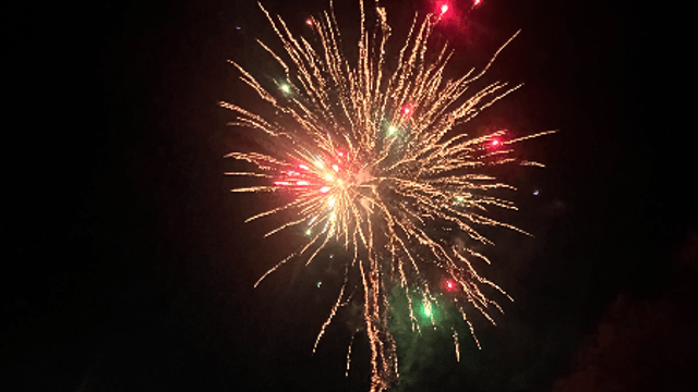 Guy Fawkes Firework Show