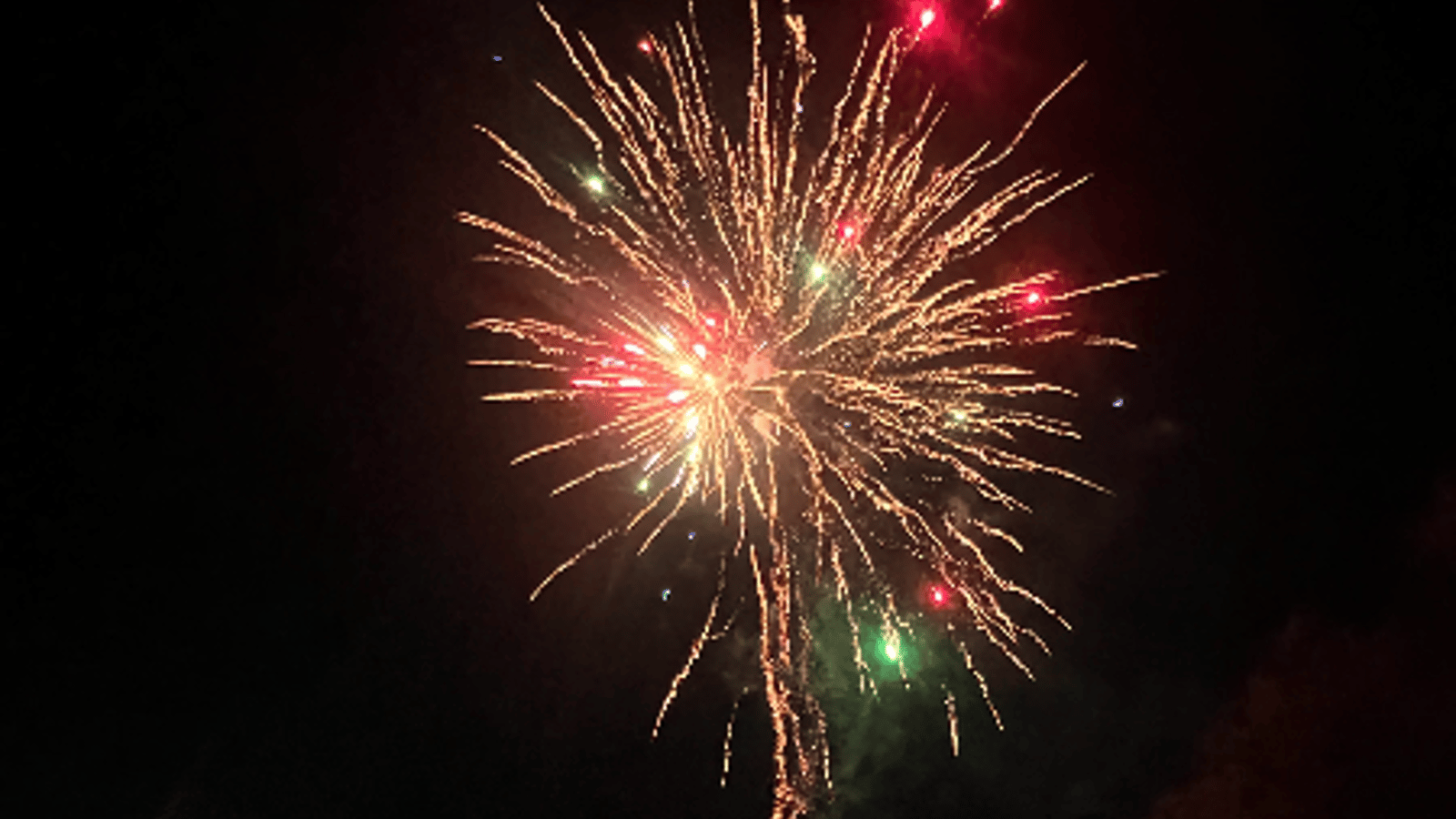 Guy Fawkes Firework Show